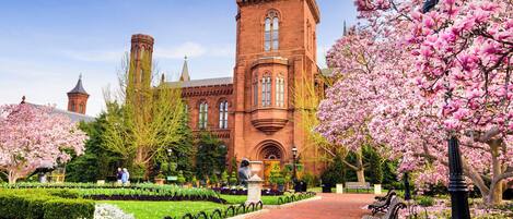 A historic building with a tower, surrounded by well-maintained gardens and cherry blossoms.