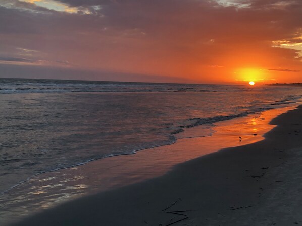 Sun-loungers, beach towels