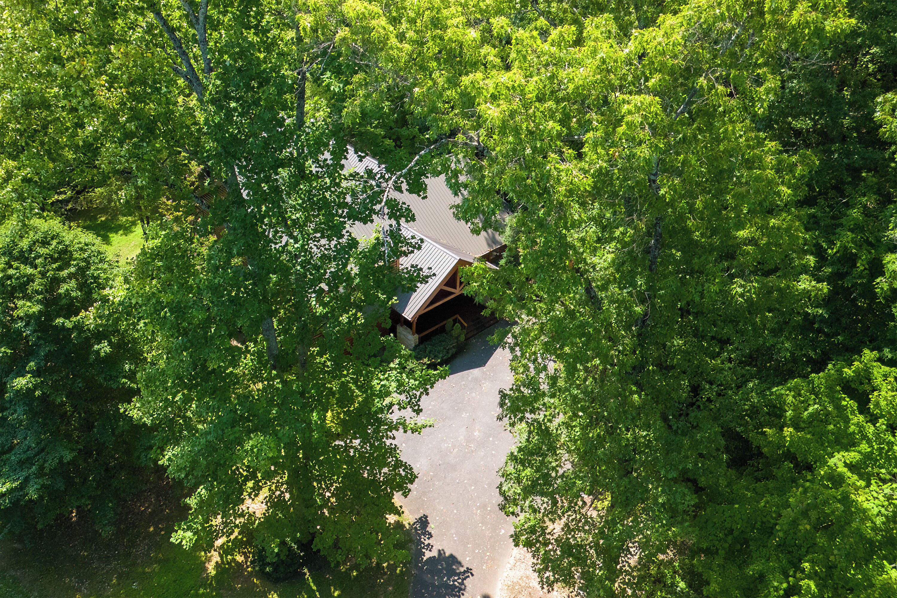 An aerial view of a cabin surrounded by dense green foliage, with a clear sky above.