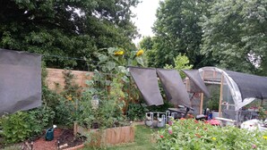 A garden with raised beds, a wooden fence, and a greenhouse structure. - Cozy Hideaway in Town (Springdale)