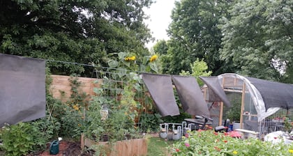 Cozy Hideaway in Town