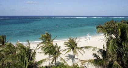 Palace In Moon Beach