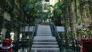 A staircase surrounded by lush green plants and vines, leading upwards. - Palace In Moon Beach (Onna)