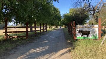 Property grounds