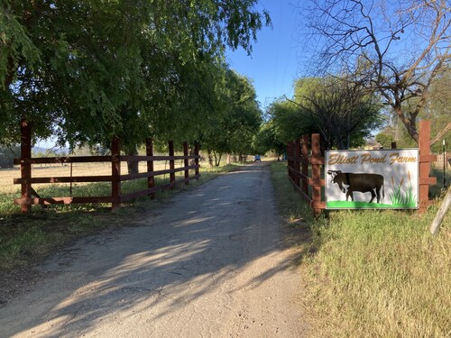Enjoy a Real Farm Experience!