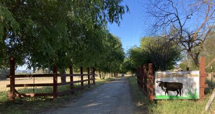 Enjoy a Real Farm Experience!