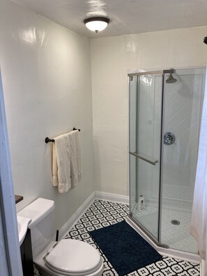 Combined shower/bathtub, hair dryer, bidet, towels