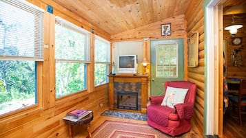 TV, fireplace, DVD player, books