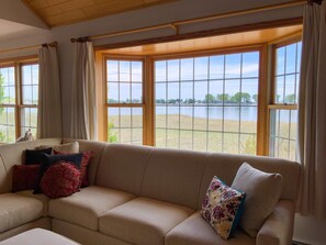 Smart TV, chimenea, reproductor de DVD, libros