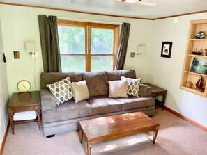 Smart TV, reproductor de DVD y libros 