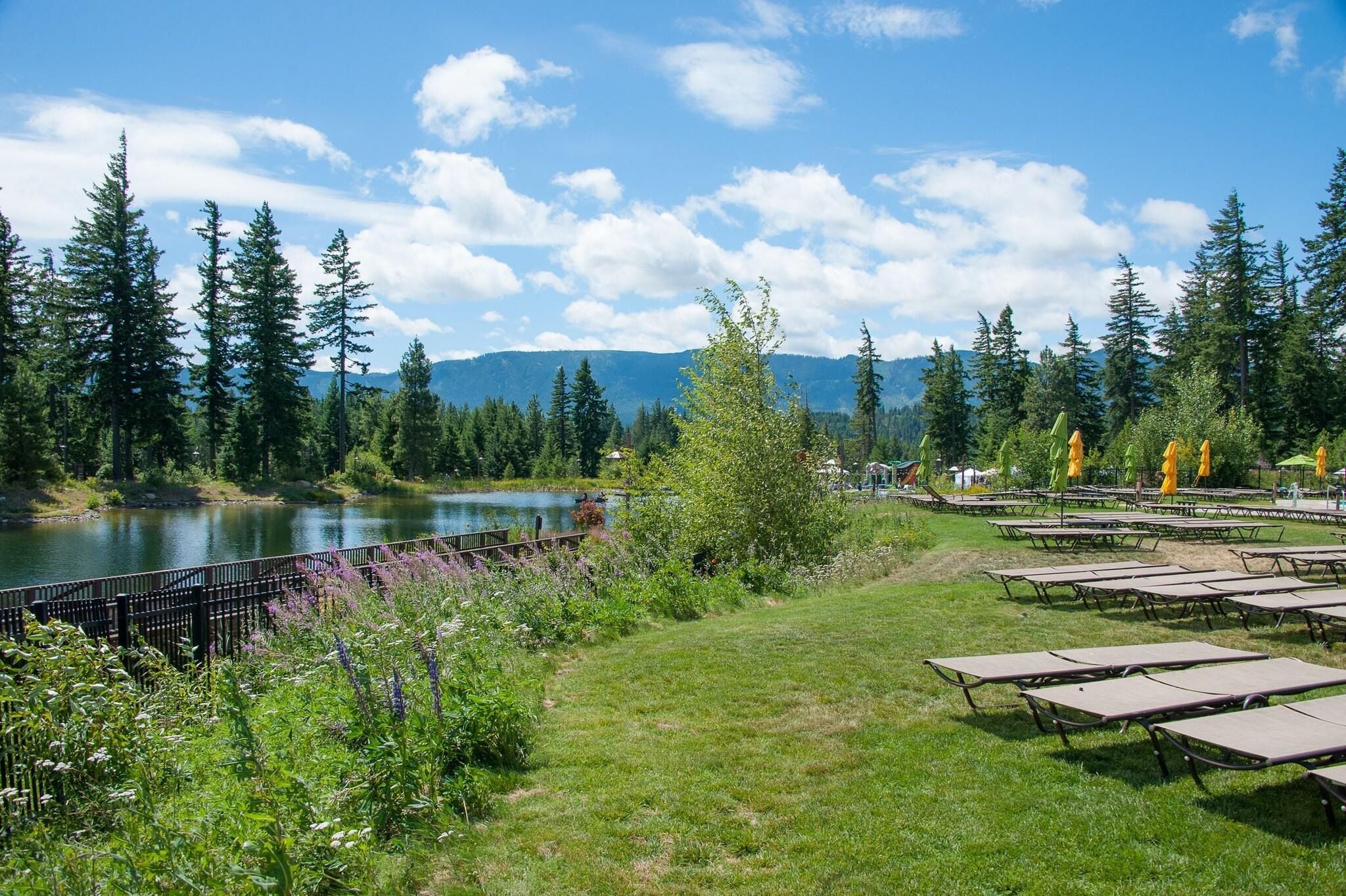 A lakeside view with picnic tables, a fenced area, and dense forest.