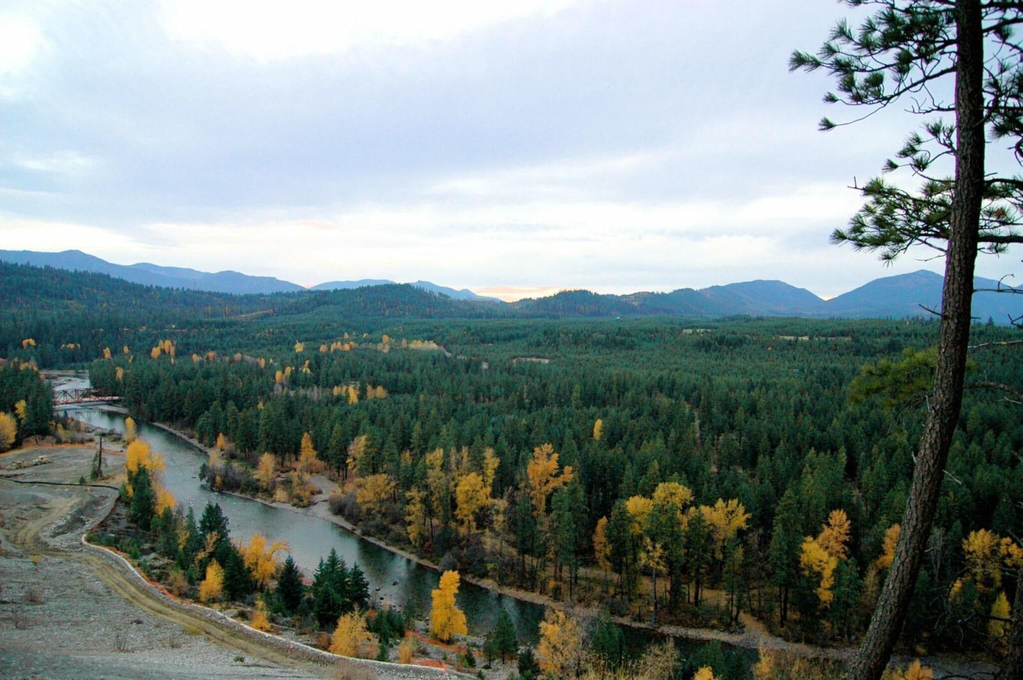 A river winding through a forested valley with mountains in the background.