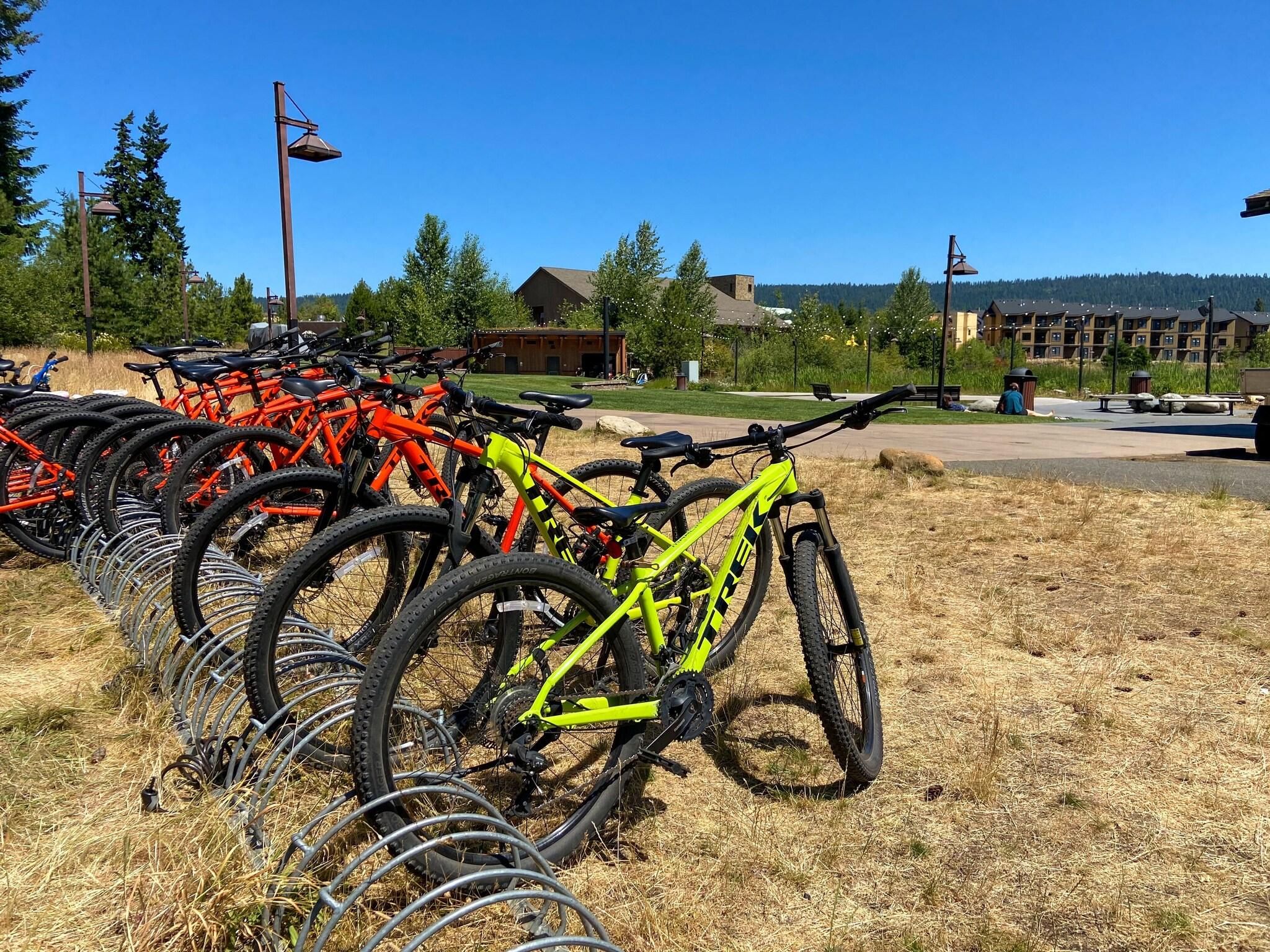 A row of bicycles parked on a grassy area with a building in the background.