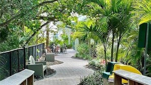 A pathway flanked by wooden railings and lush greenery, leading to a building with bicycles parked outside. - Walk out the back door to #1 beaches in Naples. Renovated with new Furnishings. (Naples)