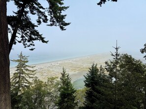 Beach - Dungeness Bay Bungalow- The Ultimate Couples Retreat (Sequim)