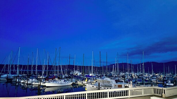 A marina with multiple boats docked. - Dungeness Bay Bungalow- The Ultimate Couples Retreat (Sequim)