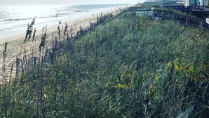 A beach with a wooden fence, a house with a dark roof, and a clear sky. - Peaceful Beach Retreat in Southern Shores.Beach Front Parking Passes included (Kitty Hawk)