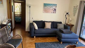 Smart TV, DVD player, books