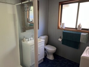 Shower, hair dryer, soap