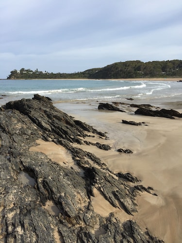 A home away from home amongst the birds and the trees