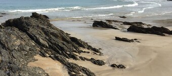 A home away from home amongst the birds and the trees