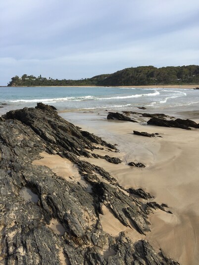 A home away from home amongst the birds and the trees