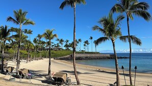 A beach with palm trees, sun loungers, and a clear blue sky. - Spectacular luxury golf course view home in the heart of the Mauna Lani resort (Kamuela)
