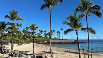Plage à proximité, chaises longues, serviettes de plage