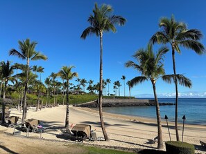 Plage à proximité, chaises longues, serviettes de plage