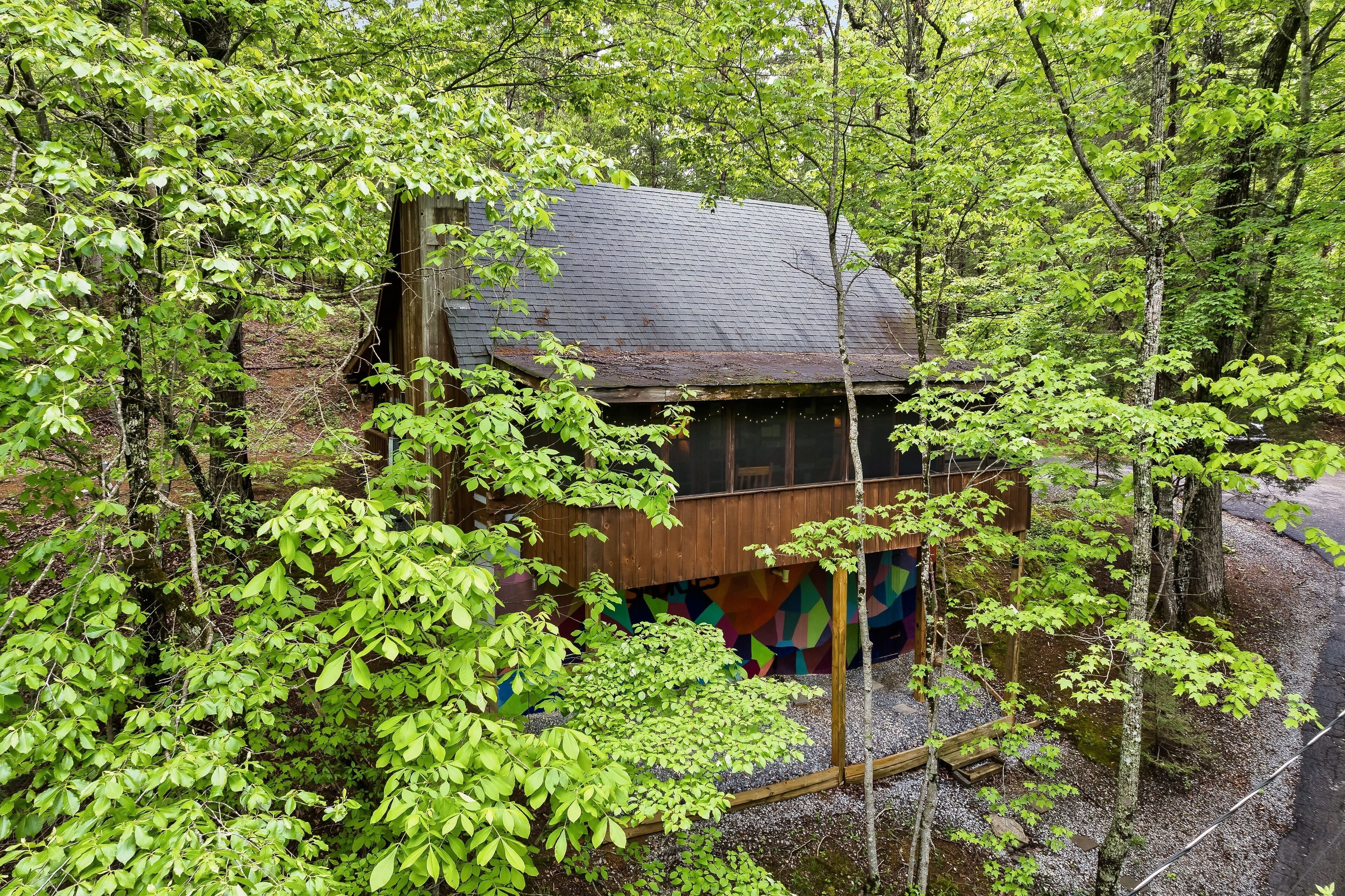 A rustic cabin surrounded by dense forest.