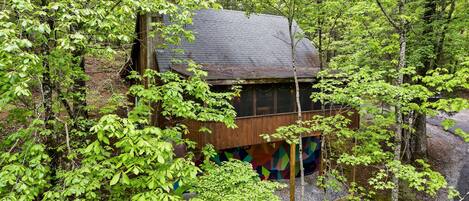 A rustic cabin surrounded by dense forest.