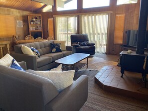 Smart TV, fireplace, DVD player, books