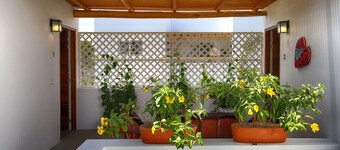 Peace amid the Palms at La Isla Bonita Villa 1