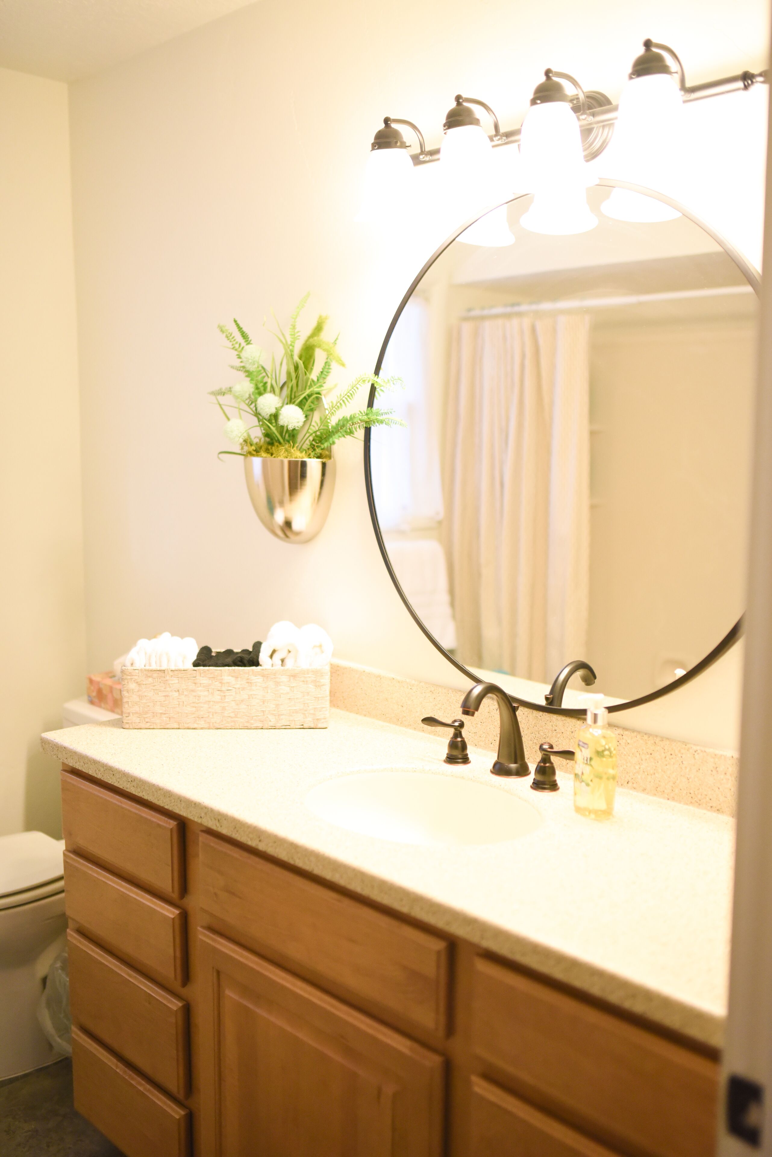 Une salle de bain avec un meuble-lavabo, un miroir, un évier, des toilettes et une plante posée sur le meuble.