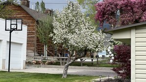 A log cabin with a basketball hoop, a tree with white blossoms, and a red flowering tree. - Rustic Abode Entire Home- Near Logan (Hyde Park)