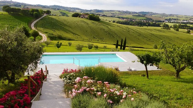 Une piscine entourée d’une végétation luxuriante et un chemin sinueux.