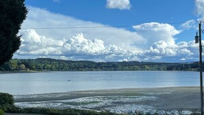Aussicht auf einen See unter blauem Himmel mit Wolken, umgeben von viel Grün und einer befestigten Fläche mit einem Strommast.