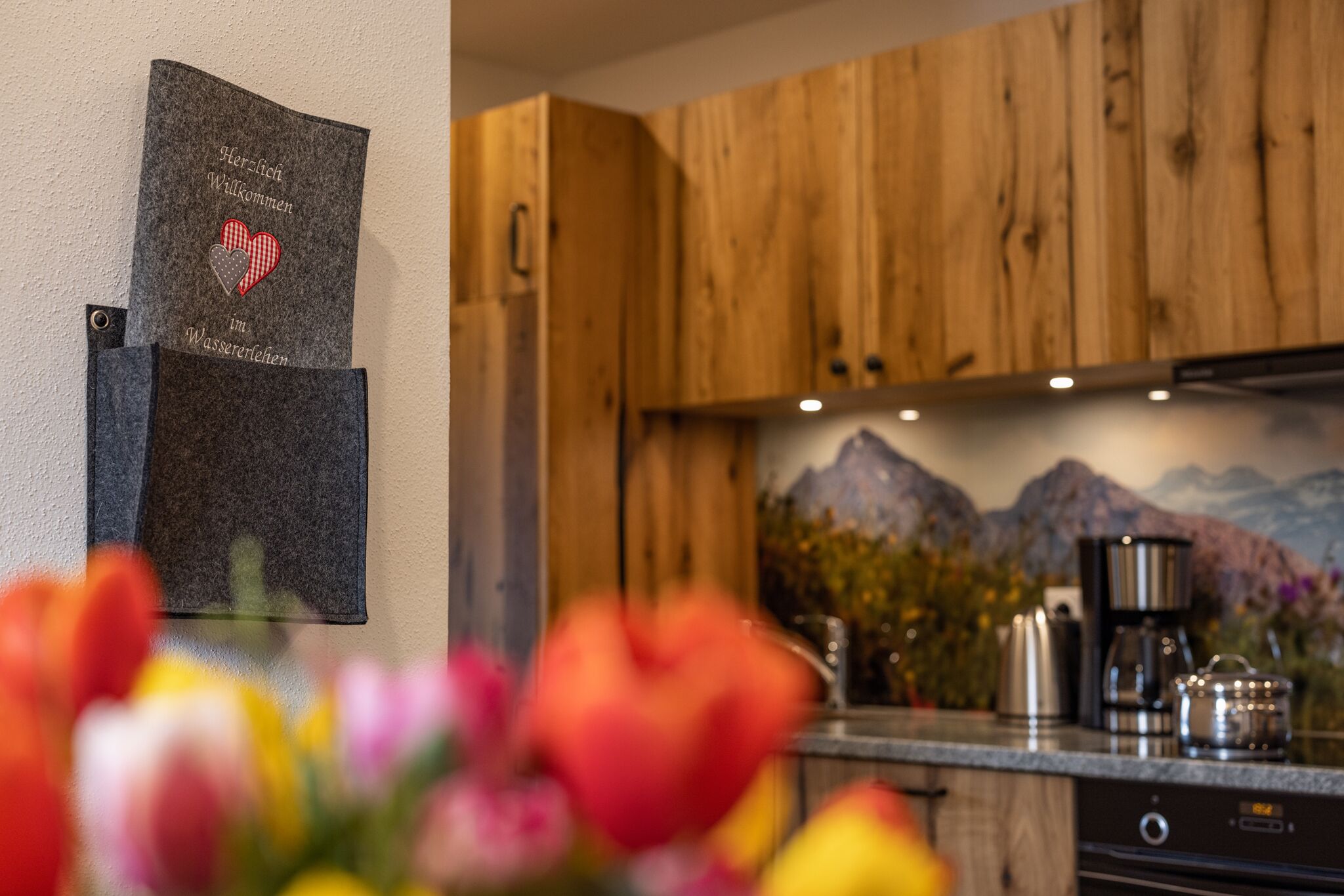 Kühlschrank, Ofen, Herdplatte, Geschirrspüler