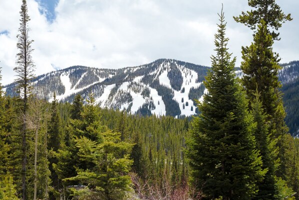 A mountainous landscape with dense forests and snow-covered peaks.