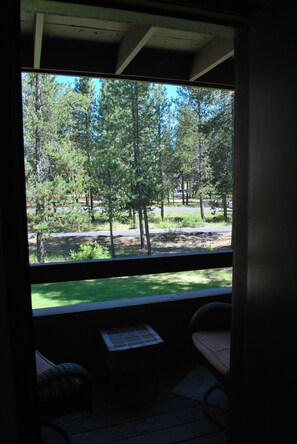 A window view of a forested area with a picnic table and chairs inside a building.
