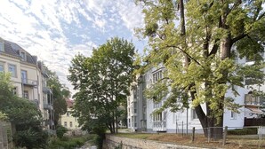 A river flowing through a residential area with stone walls and trees. - Fantastic apartment in a prime location near Dresden at the gateway to Saxon Switzerland (Pirna)