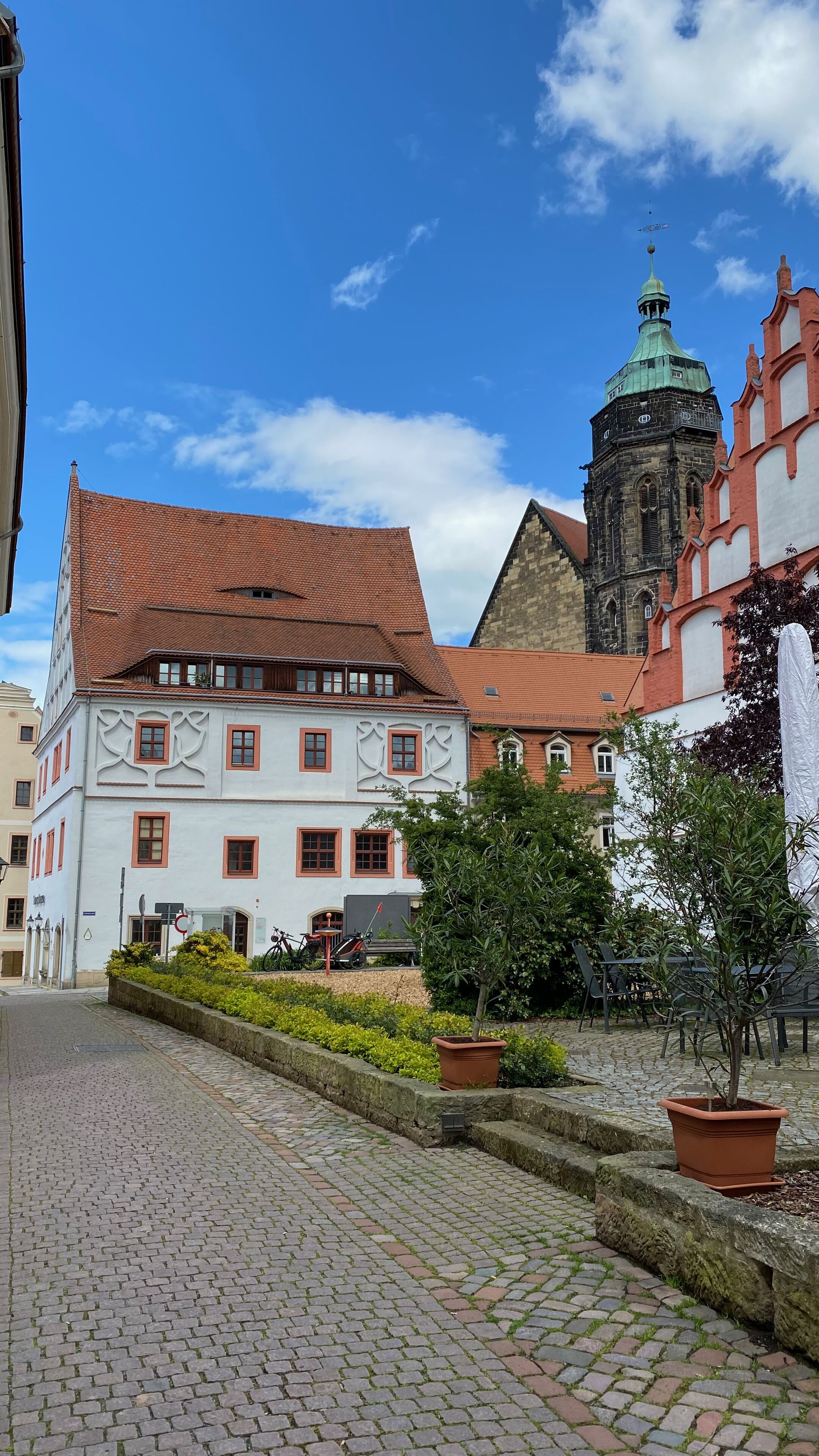A cobblestone street with historic buildings, a church tower, and a small tree in a planter.