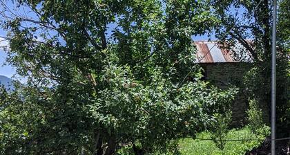 Himalayangypsie homestay