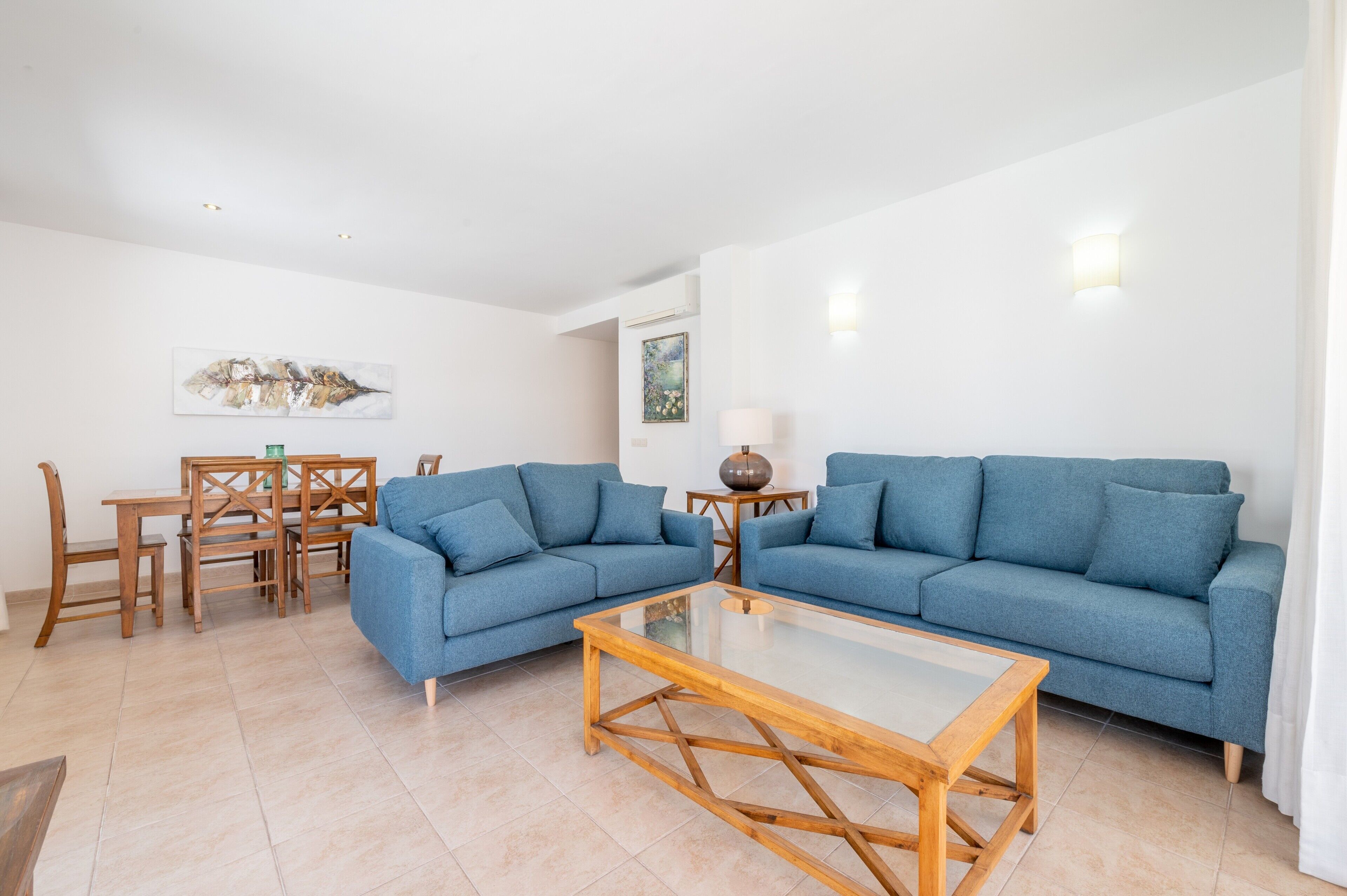 电  视、DVD 播放器