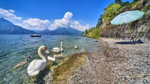 Un lac avec des cygnes, un bateau et une rive rocheuse avec un parasol.
