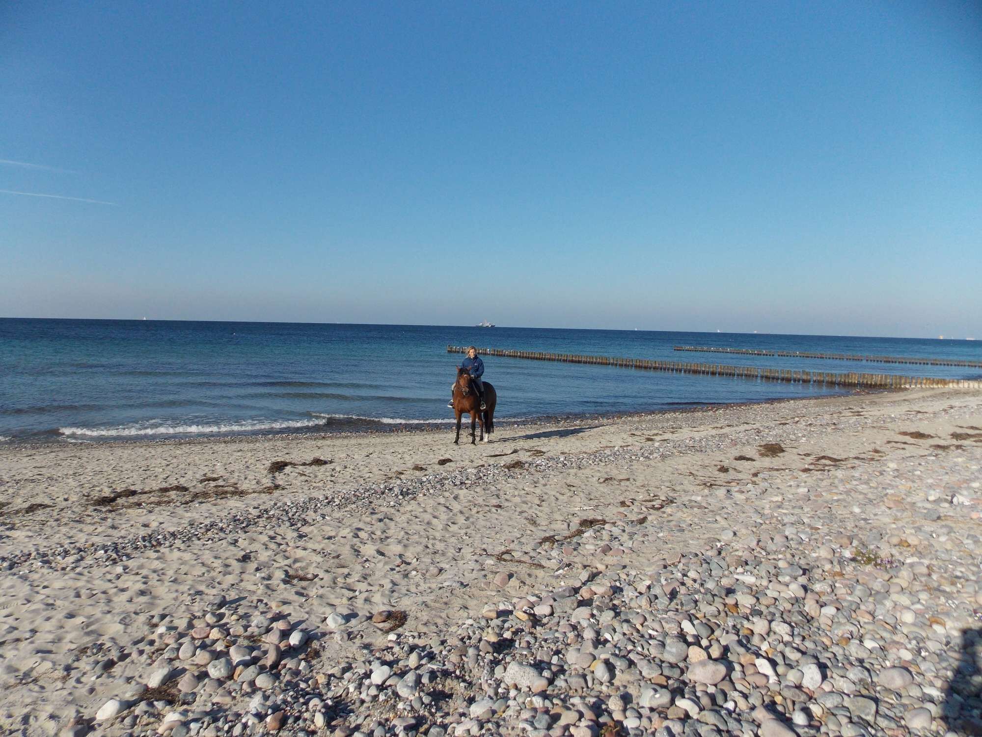 A beach with a horse and rider, pebbly shore, and a pier extending into the water.