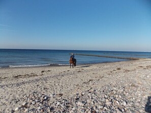 In Strandnähe