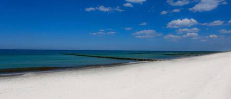 بالقرب من الشاطئ