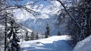 Une route de montagne enneigée, bordée d’arbres de chaque côté, sous un ciel dégagé.