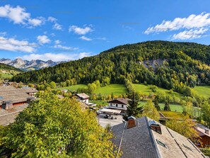 Miscellaneous - Comfortable studio for 4 in Grand-Bornand (Le Grand-Bornand)